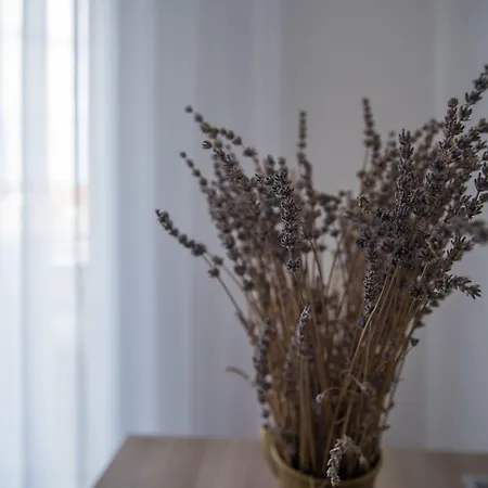 & Lavanda Pensjonat 4*